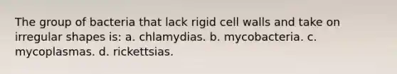 The group of bacteria that lack rigid cell walls and take on irregular shapes is: a. chlamydias. b. mycobacteria. c. mycoplasmas. d. rickettsias.