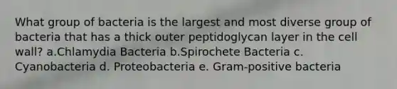 What group of bacteria is the largest and most diverse group of bacteria that has a thick outer peptidoglycan layer in the cell wall? a.Chlamydia Bacteria b.Spirochete Bacteria c. Cyanobacteria d. Proteobacteria e. Gram-positive bacteria