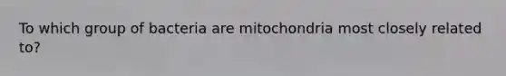 To which group of bacteria are mitochondria most closely related to?