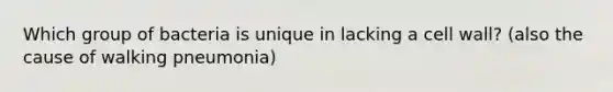 Which group of bacteria is unique in lacking a cell wall? (also the cause of walking pneumonia)
