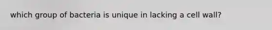 which group of bacteria is unique in lacking a cell wall?