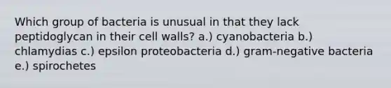 Which group of bacteria is unusual in that they lack peptidoglycan in their cell walls? a.) cyanobacteria b.) chlamydias c.) epsilon proteobacteria d.) gram-negative bacteria e.) spirochetes