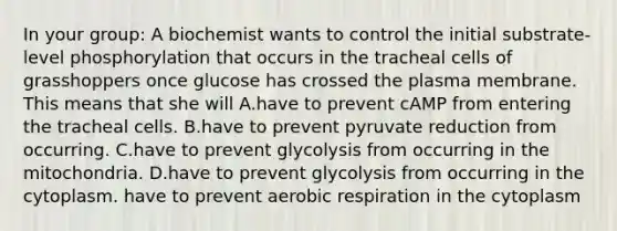 In your group: A biochemist wants to control the initial substrate-level phosphorylation that occurs in the tracheal cells of grasshoppers once glucose has crossed the plasma membrane. This means that she will A.have to prevent cAMP from entering the tracheal cells. B.have to prevent pyruvate reduction from occurring. C.have to prevent glycolysis from occurring in the mitochondria. D.have to prevent glycolysis from occurring in the cytoplasm. have to prevent aerobic respiration in the cytoplasm