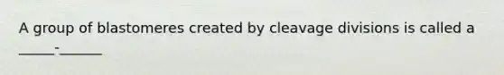 A group of blastomeres created by cleavage divisions is called a _____-______