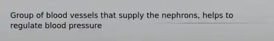 Group of <a href='https://www.questionai.com/knowledge/kZJ3mNKN7P-blood-vessels' class='anchor-knowledge'>blood vessels</a> that supply the nephrons, helps to regulate <a href='https://www.questionai.com/knowledge/kD0HacyPBr-blood-pressure' class='anchor-knowledge'>blood pressure</a>