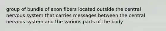 group of bundle of axon fibers located outside the central nervous system that carries messages between the central nervous system and the various parts of the body