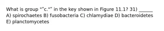 What is group "ʺc."ʺ in the key shown in Figure 11.1? 31) ______ A) spirochaetes B) fusobacteria C) chlamydiae D) bacteroidetes E) planctomycetes