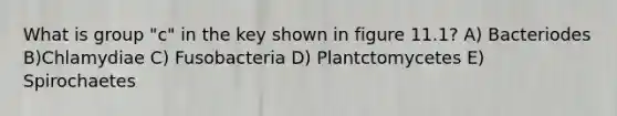What is group "c" in the key shown in figure 11.1? A) Bacteriodes B)Chlamydiae C) Fusobacteria D) Plantctomycetes E) Spirochaetes