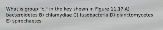 What is group "c." in the key shown in Figure 11.1? A) bacteroidetes B) chlamydiae C) fusobacteria D) planctomycetes E) spirochaetes