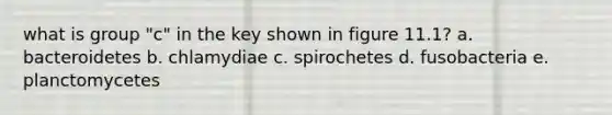 what is group "c" in the key shown in figure 11.1? a. bacteroidetes b. chlamydiae c. spirochetes d. fusobacteria e. planctomycetes