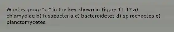 What is group "c." in the key shown in Figure 11.1? a) chlamydiae b) fusobacteria c) bacteroidetes d) spirochaetes e) planctomycetes