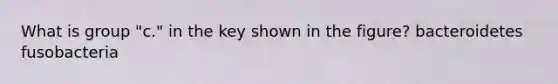 What is group "c." in the key shown in the figure? bacteroidetes fusobacteria