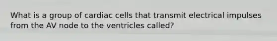 What is a group of cardiac cells that transmit electrical impulses from the AV node to the ventricles called?