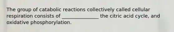 The group of catabolic reactions collectively called cellular respiration consists of _______________ the citric acid cycle, and oxidative phosphorylation.