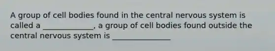 A group of cell bodies found in the central nervous system is called a _____________, a group of cell bodies found outside the central nervous system is _______________