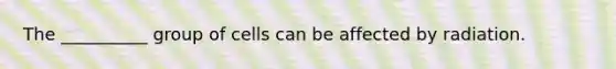 The __________ group of cells can be affected by radiation.