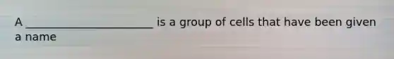 A _______________________ is a group of cells that have been given a name