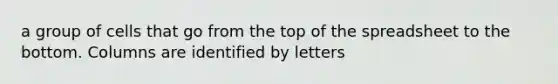 a group of cells that go from the top of the spreadsheet to the bottom. Columns are identified by letters