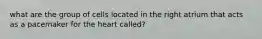 what are the group of cells located in the right atrium that acts as a pacemaker for the heart called?