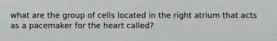 what are the group of cells located in the right atrium that acts as a pacemaker for the heart called?