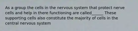 As a group the cells in the nervous system that protect nerve cells and help in there functioning are called______ These supporting cells also constitute the majority of cells in the central nervous system