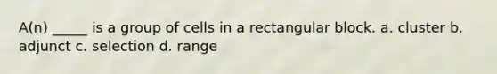 A(n) _____ is a group of cells in a rectangular block. a. cluster b. adjunct c. selection d. range