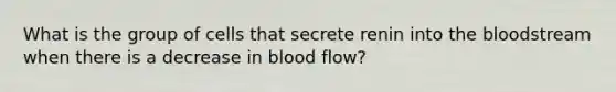 What is the group of cells that secrete renin into <a href='https://www.questionai.com/knowledge/k7oXMfj7lk-the-blood' class='anchor-knowledge'>the blood</a>stream when there is a decrease in blood​ flow?