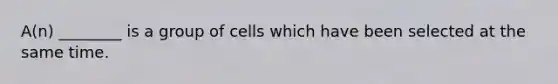 A(n) ________ is a group of cells which have been selected at the same time.