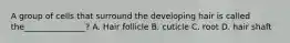 A group of cells that surround the developing hair is called the_______________? A. Hair follicle B. cuticle C. root D. hair shaft