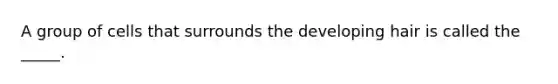 A group of cells that surrounds the developing hair is called the _____.