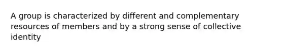 A group is characterized by different and complementary resources of members and by a strong sense of collective identity