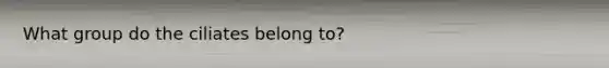 What group do the ciliates belong to?