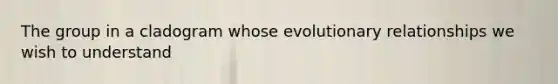 The group in a cladogram whose evolutionary relationships we wish to understand