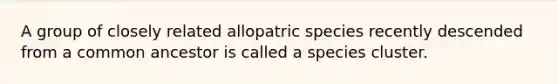 A group of closely related allopatric species recently descended from a common ancestor is called a species cluster.