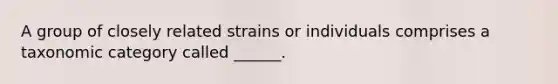 A group of closely related strains or individuals comprises a taxonomic category called ______.