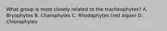 What group is most closely related to the tracheophytes? A. Bryophytes B. Charophytes C. Rhodophytes (red algae) D. Chlorophytes