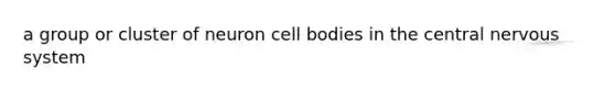 a group or cluster of neuron cell bodies in the central nervous system