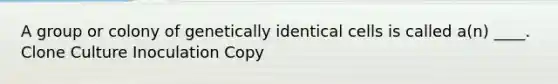 A group or colony of genetically identical cells is called a(n) ____. Clone Culture Inoculation Copy