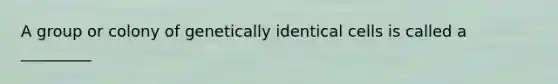 A group or colony of genetically identical cells is called a _________