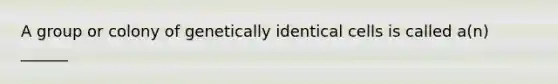 A group or colony of genetically identical cells is called a(n) ______