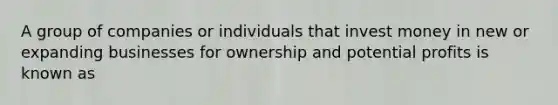 A group of companies or individuals that invest money in new or expanding businesses for ownership and potential profits is known as