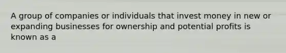 A group of companies or individuals that invest money in new or expanding businesses for ownership and potential profits is known as a