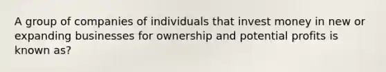 A group of companies of individuals that invest money in new or expanding businesses for ownership and potential profits is known as?