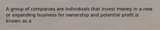 A group of companies are individuals that invest money in a new or expanding business for ownership and potential profit is known as a