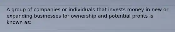 A group of companies or individuals that invests money in new or expanding businesses for ownership and potential profits is known as: