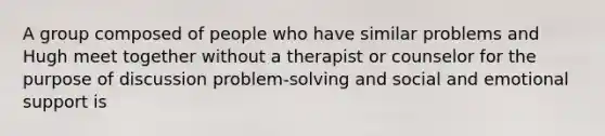 A group composed of people who have similar problems and Hugh meet together without a therapist or counselor for the purpose of discussion problem-solving and social and emotional support is