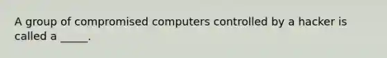 A group of compromised computers controlled by a hacker is called a _____.