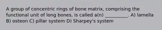 A group of concentric rings of bone matrix, comprising the functional unit of long bones, is called a(n) __________. A) lamella B) osteon C) pillar system D) Sharpey's system