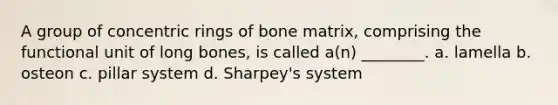 A group of concentric rings of bone matrix, comprising the functional unit of long bones, is called a(n) ________. a. lamella b. osteon c. pillar system d. Sharpey's system