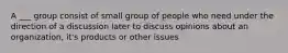 A ___ group consist of small group of people who need under the direction of a discussion later to discuss opinions about an organization, it's products or other issues